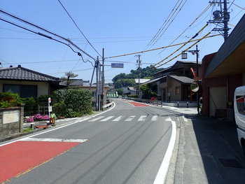 ①喬木側から